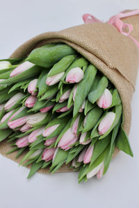 Tulip Wrap